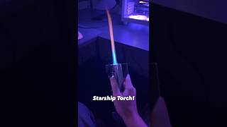 Starship Torch starship [upl. by Kelila]