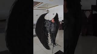 Maleficents Wings wwwwingscostumecom [upl. by Adaliah780]