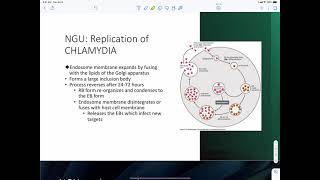 Chlamydia Trachomatis [upl. by Oyr699]