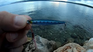 Micro Jigging on Major Craft Jigpara Slim 7gr Adriatic Sea Selce [upl. by Neelyahs]