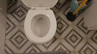 Look with this Replaced 1989 Universal Rundle Atlas toilet [upl. by Nywloc]