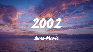 AnneMarie  2002 Lyrics [upl. by Notliw685]