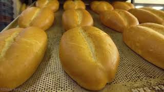 How to Bake 10000 Traditional Turkish Loaf Bread a Day  Turkish Bakery [upl. by Kalasky557]