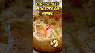 ¿Te comerías un QUESO con GUSANOS [upl. by Eniamaj]