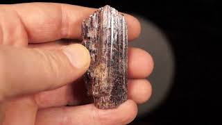 Rutile McGregor Lake Gatineau Outaouais Quebec Canada [upl. by Wylen]