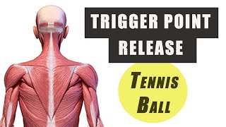 Trigger Point Release with a Tennis Ball  Upper Trap Levator Scapulae and Mid TrapRhomboids [upl. by Anaizit]