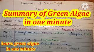 Green Algae Chlorophyceae  Plant kingdom  Biology important topic notes  CBSE  NCERT [upl. by Kyl]