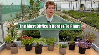 What Should You Plant in the ‘Coffin Border’ Perennials for Narrow Shallow amp Dry Borders [upl. by Ahsekel]