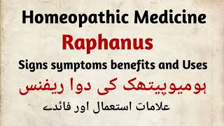 Raphanus q 30 200 homeopathic medicine signs symptoms benefits and Uses in Hindi in Urdu Zain homeo [upl. by Ycart361]