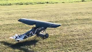 Balsa USA 14 scale D8 maiden flight Saito FG40 Morris Mini Motors carb [upl. by Alrzc]