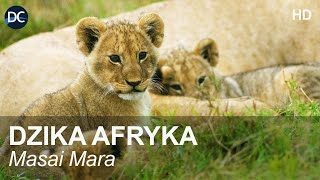 Dzika Afryka  MASAI MARA  Film przyrodniczy  Film dokumentalny  Dzika natura  Dzikie zwierzęta [upl. by Retsub]