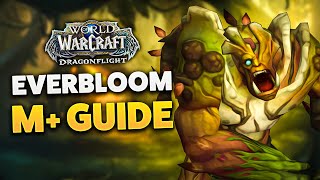 EVERBLOOM M DUNGEON GUIDE Dragonflight Season 3 [upl. by Lucky818]