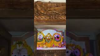 Sri Jagannath suprabhatamShri Jagannath mantrayoutubeshortvideo [upl. by Emyam]