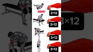 Arms exercise at home arms homeworkout workout shortsvideo [upl. by Ellehsar946]