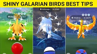 SHINY GALARIAN BIRDS BEST TIPS AND TRICKS IN POKEMON GO IN HINDI VIDEO BY POKEMON KA GURU G [upl. by Leifeste]