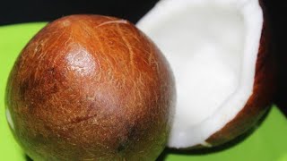 nariyal pani ke faydenariyal ke faydecoconut water benefits coconut water benefits in urdu hindi [upl. by Etnaud199]