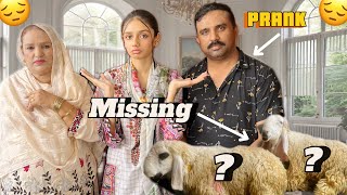 Qurbani Ke Janwar 🐐 Gum Ho Gaye  Prank On Dadu And Chachu [upl. by Hilleary]