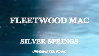 Fleetwood Mac  Silver Springs Lyrics [upl. by Haeel]