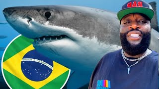 Rick Ross Reaction To Coke Sharks Off The Coast of Brazil [upl. by Alcock911]