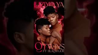 Q twins ft blaq major nhliziyo yami [upl. by Aihsercal]