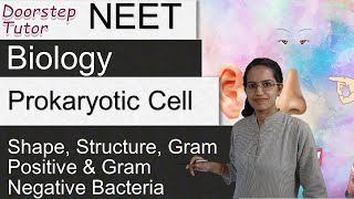 Prokaryotic Cell Shape Structure Gram Positive amp Gram Negative Bacteria  NEET  AIIMS  MCAT [upl. by Greenberg]