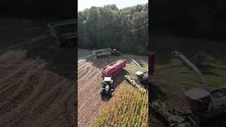 Claas 990TT Silage Machine reaper modern agriculture shorts short viralvideo youtubeshorts [upl. by Coniah62]