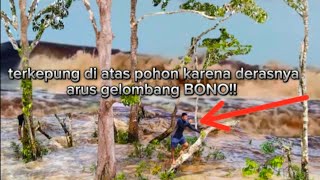 fenomena alam 1 Desember 2024 tidal bore gelombang bono besar meluap hingga kedaratan [upl. by Farly]