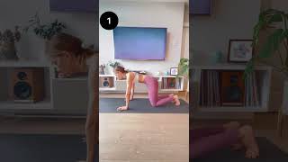 Yoga para Principiantes Ejercicio para Abdomen [upl. by Neeliak431]