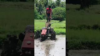 A tractor in Sri Lanka [upl. by Anehsuc]