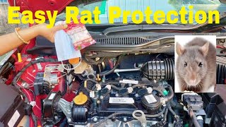 Protect Your Car From Rats Easily ratcontrol [upl. by Alvira]