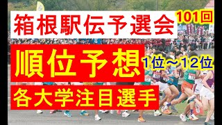 【1位～12位】箱根駅伝予選会順位予想！各大学注目選手！中央大学は主力温存⁉【箱根駅伝2025】 [upl. by Noman]