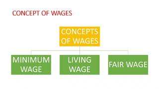 Wages  Concept of Wages [upl. by Ykcim]