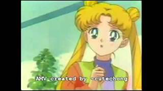 Sailor Moon AMV  Waiting For the End UPDATED [upl. by Notla]