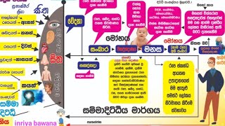 ඔබත් මනසේ මායාවට අසුවෙලාදindriya bawanaඉන්ද්‍රිය භාවනා [upl. by Rubio85]