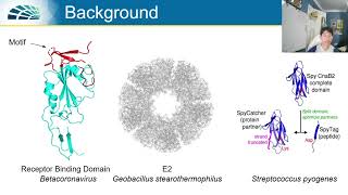 Conjugation of SARSCoV2 Receptor Binding Domain to E2 Nanoparticle for Vaccine Development [upl. by Nomyad]