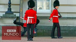 La estrepitosa caída de un guardia frente al palacio de Buckingham [upl. by Akenet]