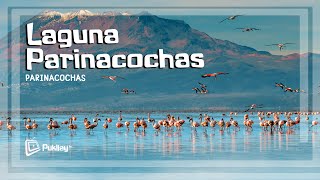 Hay una ciudad imperial sumergida en esta laguna  Parinacochas [upl. by Jonas]