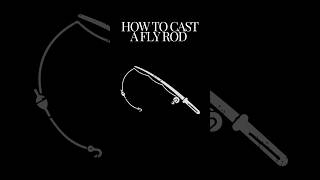 How to cast a fly fishing rod tutorial shorts [upl. by Ahsinroc]