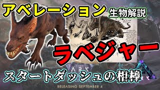 【ARK】驚異のユーティリティを持つ小型肉食獣『ラベジャー』【解説】 [upl. by Chuu837]