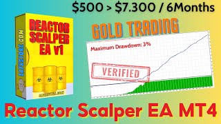 Reactor Scalper EA MT4 Setting and Review  FX STORE EA [upl. by Mich]