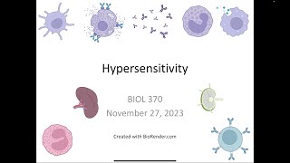 Immunology Fall 2023 Lecture 30 Hypersensitivity Part 1 [upl. by Toor]