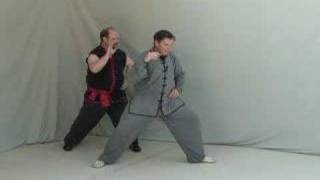 Chen Tai Chi 19 Form Practice [upl. by Eudo918]