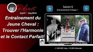 Entrainement du jeune cheval trouver le bon contact avec la bouche [upl. by Haldes158]