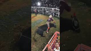 Jo iska Parr kar lenga rodeo bull cowboys horse trendingshorts youtubeshorts cowboylifestyle [upl. by Nelleus]