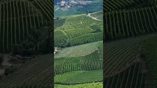 Barolo life winelovers piedmont dolcevita [upl. by Toffey]