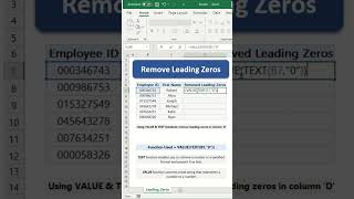 How to Remove Leading Zeros in Excel [upl. by Acessej395]