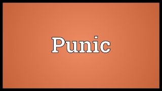 Punic Meaning [upl. by Nywrad]