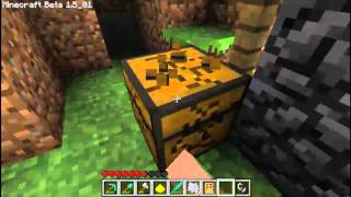 Minecraft Survival  Training GPig [upl. by Jepson12]