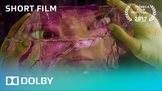 Dolby Presents quotUniversequot  Trailer  Dolby [upl. by Notnroht]