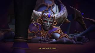 Wow TWW Final Raid Ending Cutscene Queen Dies w Prot Paladin Dracobanis Malganis [upl. by Irihs]